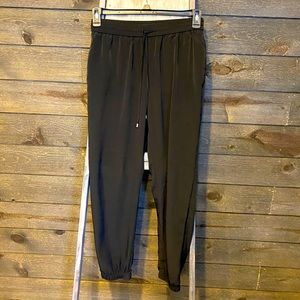 Express Dressy Jogger Pants